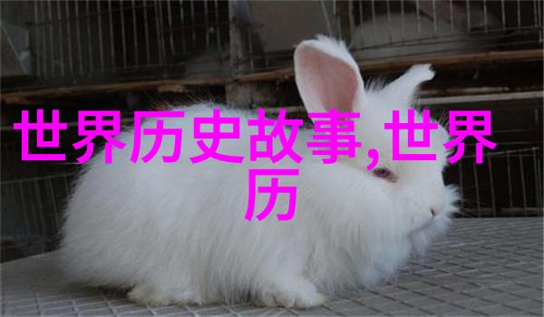 魔幻之旅阿凡提的智慧之光