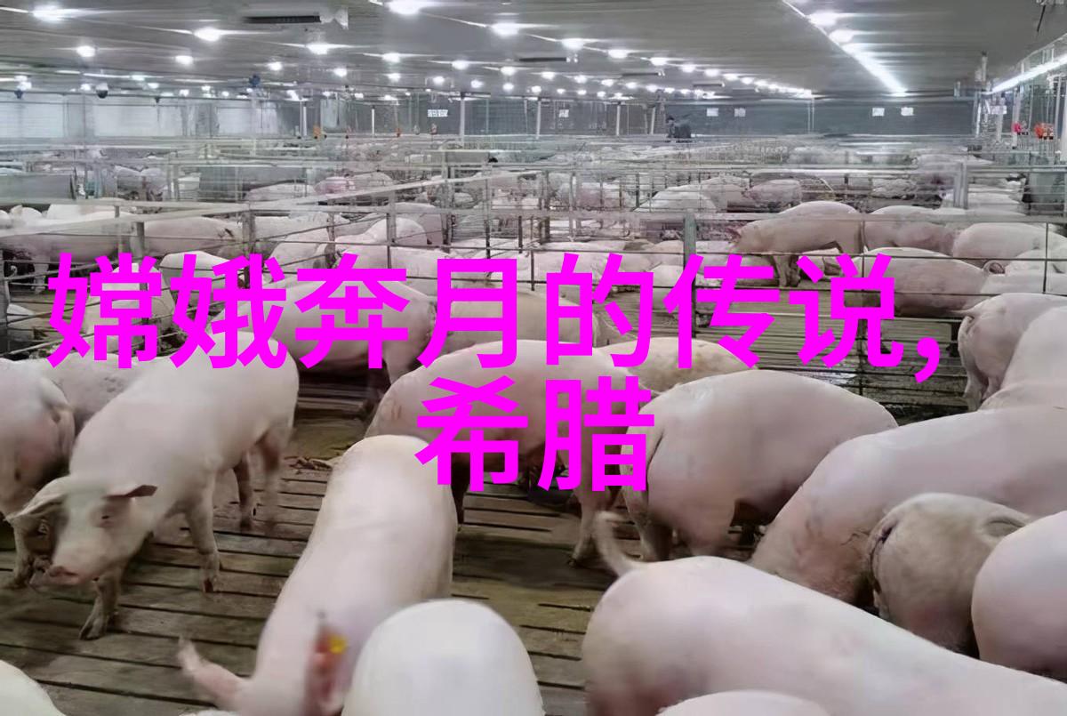 后羿射日弓箭手与太阳的较量