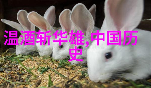 人民英雄永铭碑兵锋纪念耸立