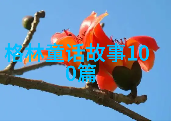 秦始皇一生糟塌了多少女人的齐襄王悲剧的君主泪水中的江山