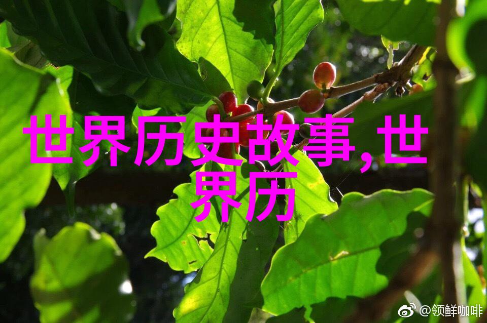 北京十大名人的家居风水智囊团陈业庭解密居家环境的奥秘