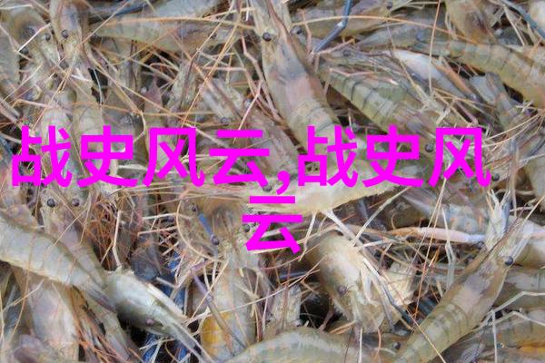 刘邦的野史刘邦背后的传奇故事