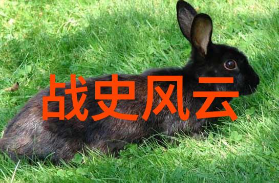 如何讲好一个历史故事
