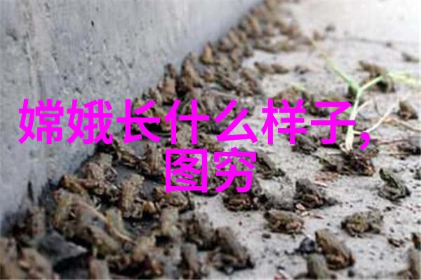 在中国历史元朝时期的故事中白朴又是怎样的存在呢他从1226年走进这个世界直至1306年告别人世