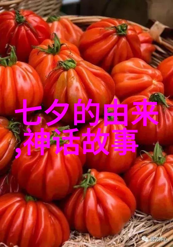 一千零一夜我在梦中遇见了你
