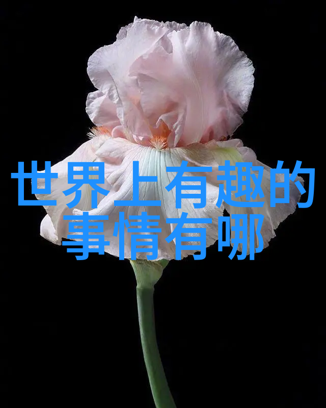 抗日战争中的十大英雄英勇事迹中国抗日战争中的十位年轻英雄