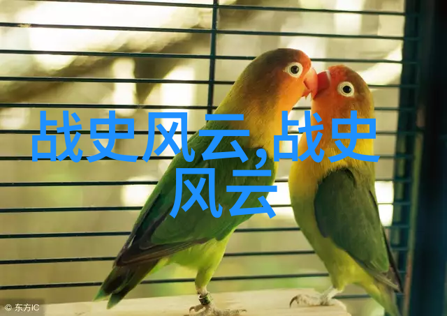 魔法书店里的奇幻之旅