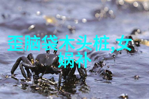南明帝王传朱诚泳的沉浮史