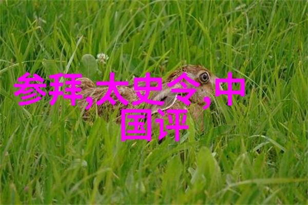 神话故事大全云游四海的青铜鸟儿