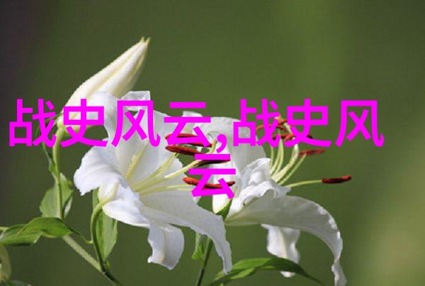 里奥梅西探寻袁隆平的历史文化足迹