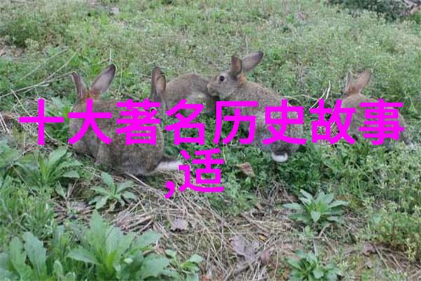 端午节的来历-追溯龙舟与五谷丰登的文化传承