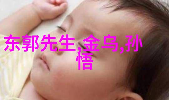 新世界未来的征程与探索