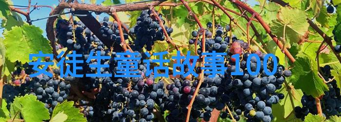 宋江为什么有三个绰号宋江绰号呼保义什么意思