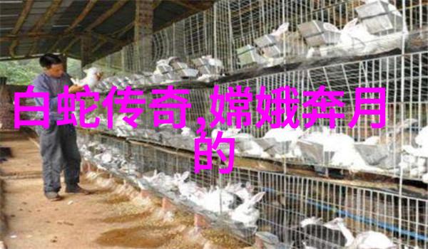 中国著名人物介绍ppt-中华英杰录精彩的中国历史人物演讲PPT