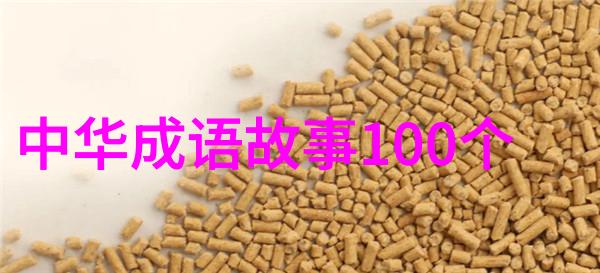 太平洋战场上的英勇抗争一支孤军的壮烈牺牲