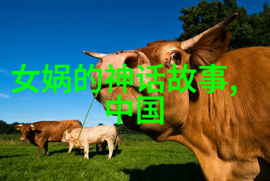 母亲话第一我妈和她聊天的第一个故事