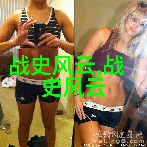探秘中国历史app解锁古今千年故事的智慧之门
