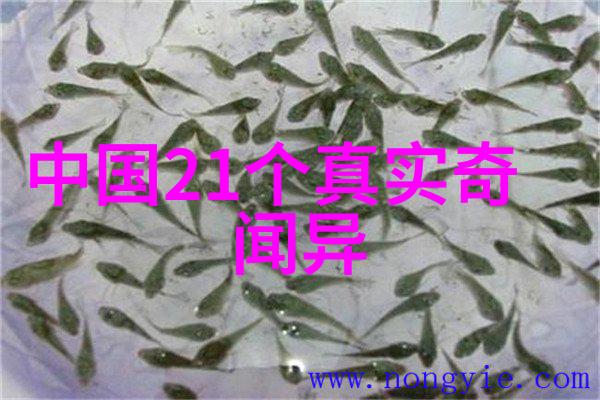 我们可以从神话故事中学到什么历史知识