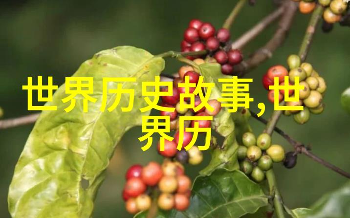 1925年中国处于什么社会我国沸腾的岁月风雨与希望交织