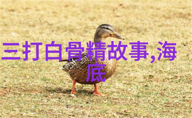 惊悚真相揭秘10个让人毛骨悚然的冷知识