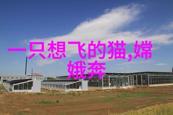 创意无限用现实生活中的元素写作儿童睡前故事