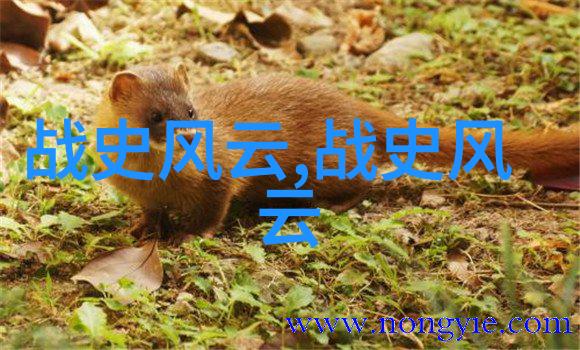 2021年四虎最新动态深度解析
