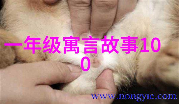 儿童文学中的红色主题有什么特点吗