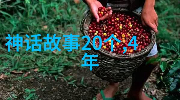 男歌手之巅琪的挑战
