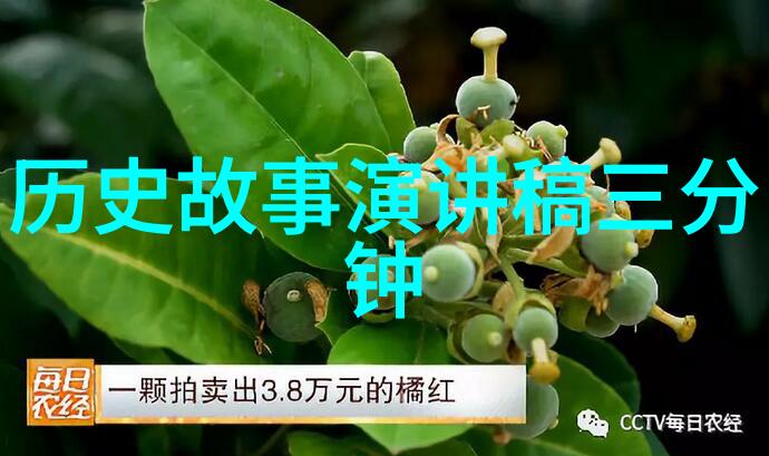 明朝历代走向歧途的关键明太祖一人之私意如何影响了丞相制度