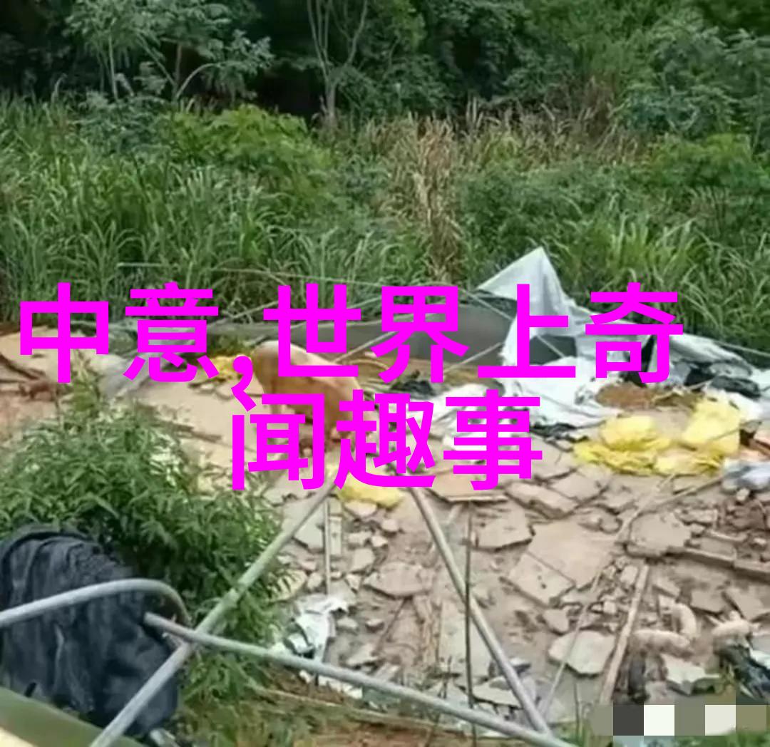中部战区悼念王伟烈士