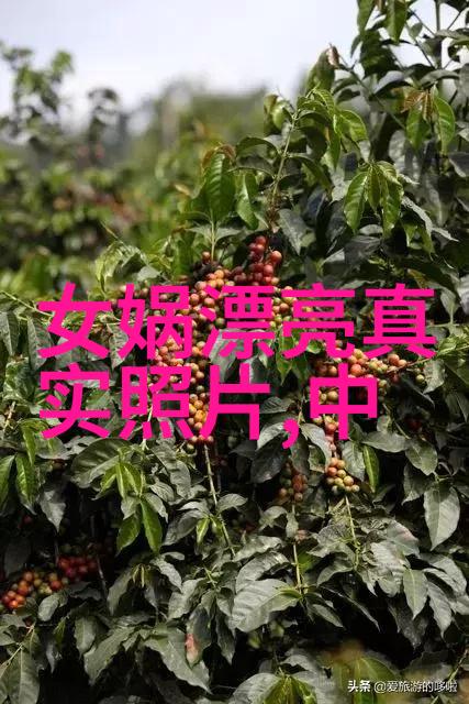 2023年新闻趣事-奇迹年2023年最令人捧腹的新闻事件回顾