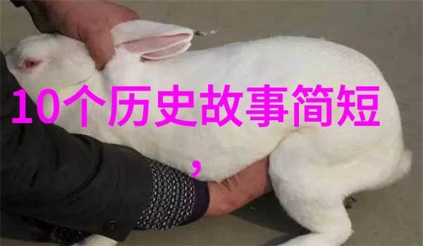 小麻雀的糖果狂欢一滴都不许漏爱吃糖的小麻雀的甜蜜冒险