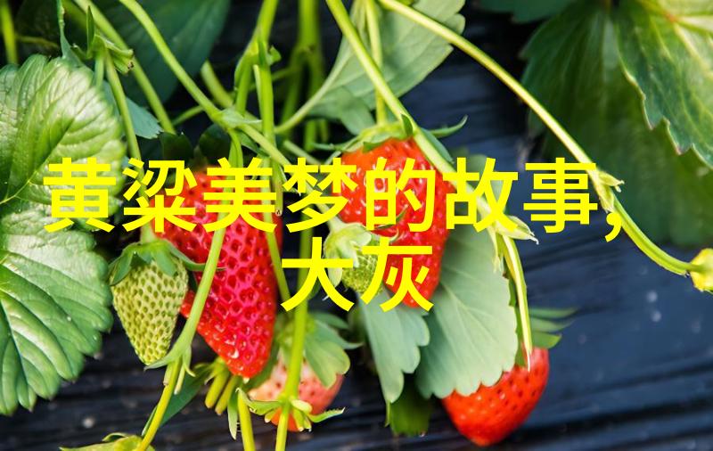 苏少卿你知道吗京剧中的旦角其实指的是扮演女性角色的一种表演艺术家