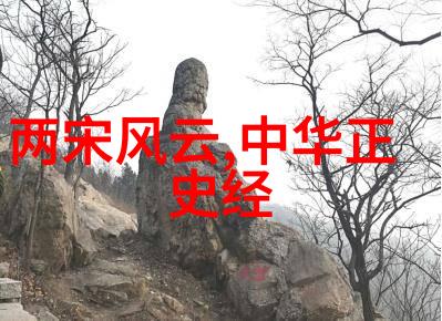 星空下的古老图腾石像背后隐藏着什么秘密
