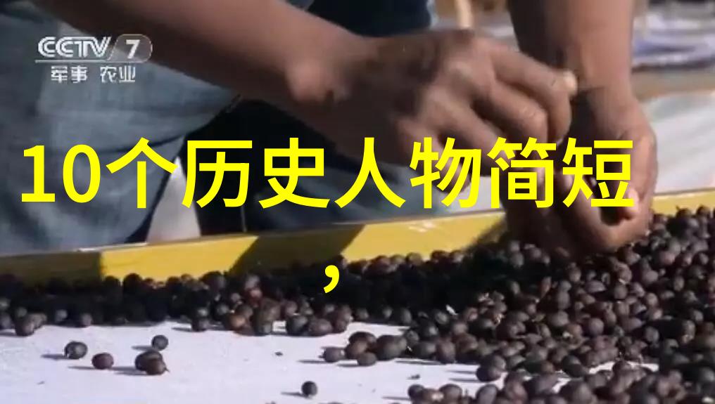 阿凡提的故事-智慧之眼阿凡提探寻真理的奇遇