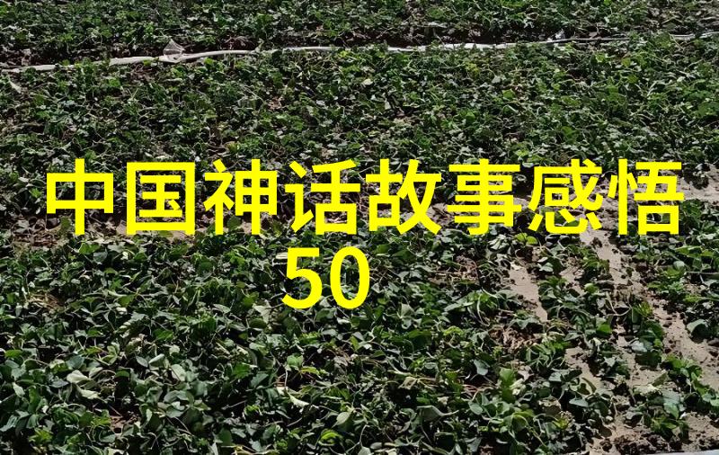 魔境探秘阿凡提与七彩云端的秘密花园