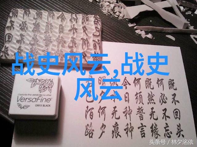 中华文化名家王新民传统智慧在梨泰院踩踏游戏中的启示