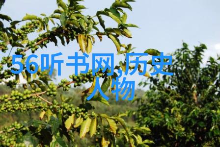 现代京剧杜鹃山的胡靓你了解吗