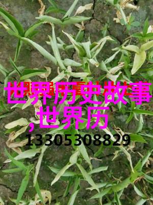 奇闻趣事大全集时空机器人误入古代茶馆