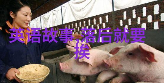 探索中华文脉传统文化典故故事全解析