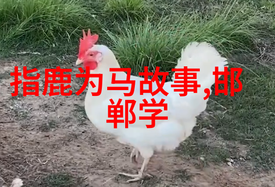 在中国神话故事中天地间的对立是否总是简单明了