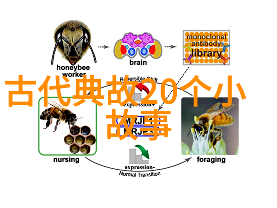 元朝历史的淡薄记忆探寻沉默的原因
