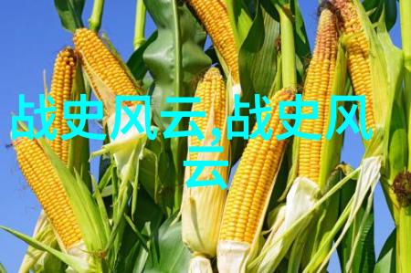 关于中国古代的历史故事大全-穿越千年中国古代史上最传奇的英雄与事迹