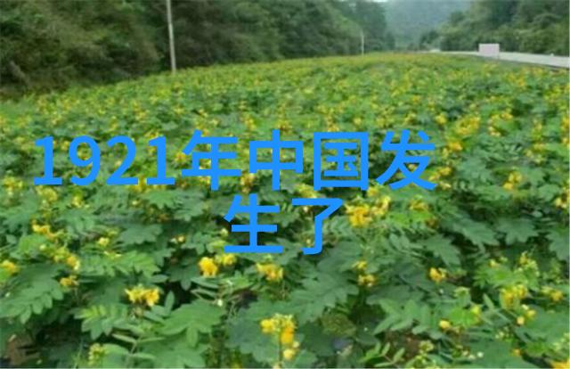 利用空间优势如何在狭窄环境中进行有效的三个人合作逃脱挑战