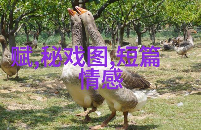 课本未尽的知识深度探索课本之外的学问宝藏