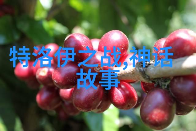 龙的打工日记从天上到地下厨房的奇幻历险