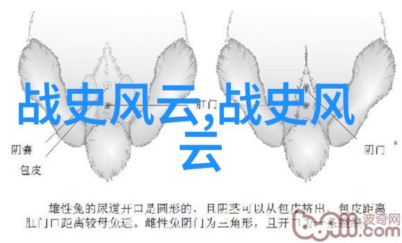 江湖纷争蜀汉的孤独