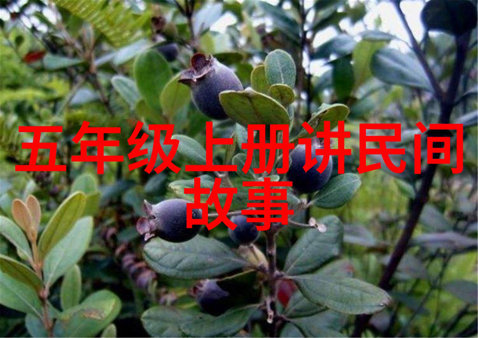 探索数字化时光机全历史网页版的奇迹与挑战