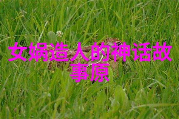 傅山书法属于中国四大艺术之一作为古代文人墨客的典范其作品不仅体现了高超的技艺更是中华文化瑰宝中的珍品