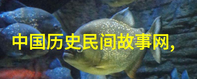祭祀龙的端午习俗有何特别之处